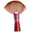 Fan Shape Nylon Bristles Makeup Brush Acrylic Handle Light Brown 8