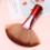 Fan Shape Nylon Bristles Makeup Brush Acrylic Handle Light Brown 11