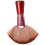 Fan Shape Nylon Bristles Makeup Brush Acrylic Handle Light Brown 9