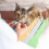 3Pcs Cat Strip Squeeze Spoon For Liquid Treats Feeding Tool 6