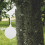 Thick Metal Bird Target For Outdoor Shooting Auto Reset Rotating 5