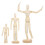 3Pcs Solid Wood Jointed Puppet Ornaments Blank For Diy Sketching 1