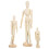3Pcs Solid Wood Jointed Puppet Ornaments Blank For Diy Sketching 8