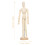 3Pcs Solid Wood Jointed Puppet Ornaments Blank For Diy Sketching 2