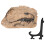 Simulation Dinosaur Resin Ornament Desktop Decor 11