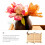 1Set Clip Voor En Specimen Presentatie 6