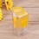 Beekeeper Capturateur Cage Apiculture 4