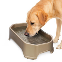 Neater Pet Brands Big Bowl - Extra Large Water Bowl for Dogs (1.25 Gallon Capacity) - Huge Over Size Pet Bowl - Champagne