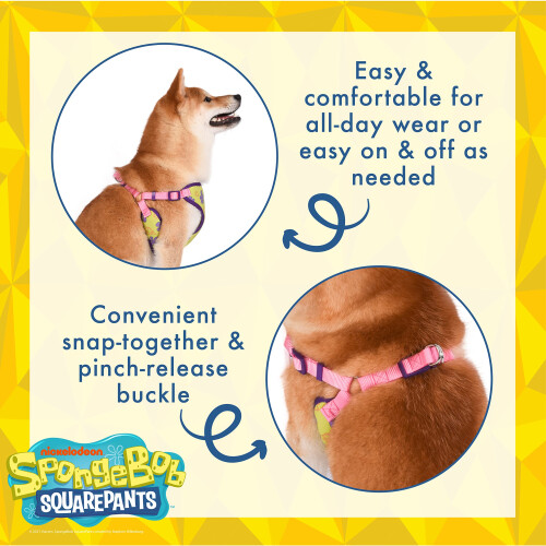 SpongeBob SquarePants Fetch for Pets Spongebob Squarepants Patrick Hondentuig, Groot 2