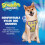 SpongeBob SquarePants Fetch for Pets Spongebob Squarepants Patrick Hondentuig, Groot 2