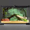 AVENTE 72X18 POLEGADAS FOGGY FOREST TERRARIUM FORMA 2