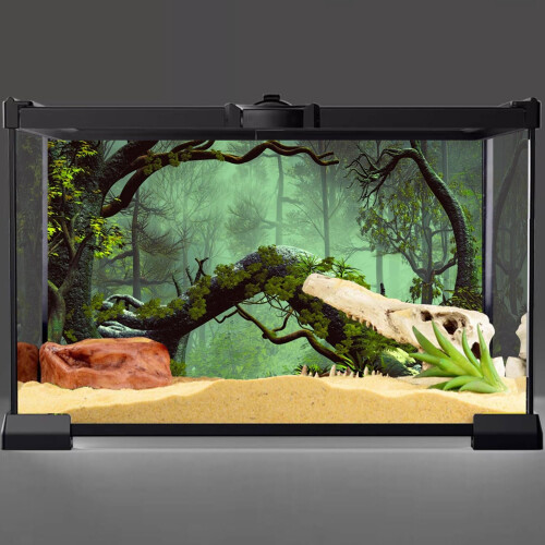 AVENTE 72X18 POLEGADAS FOGGY FOREST TERRARIUM FORMA 1