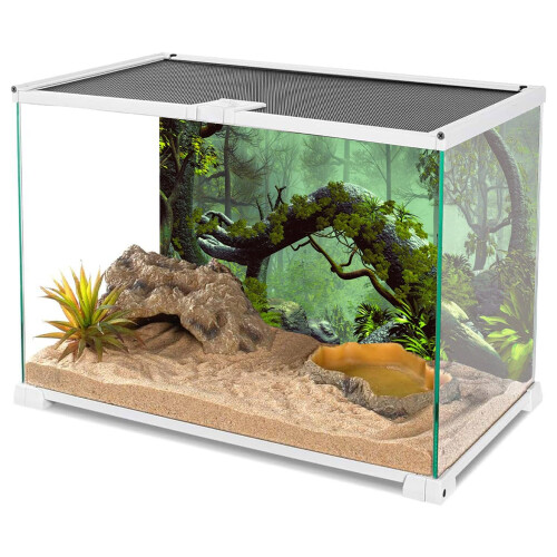 AVENTE 72X18 POLEGADAS FOGGY FOREST TERRARIUM FORMA 2