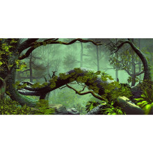 Awert 72x18 inches Foggy Forest Terrarium Baggrund Stone Green Tree Tropical Reptil Habitat Baggrund Regnskov Akvarium Baggrund Holdbar Polyester