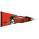 Cleveland Browns Pennant 12x30 Premium Style 1