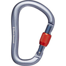 Mousqueton ? vis Rocklock pour homme Black Diamond, gris