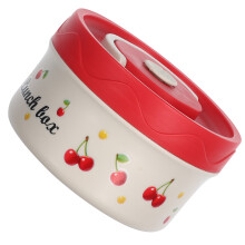 Isolierte Bento Brotdose Für Kinder 420Ml
