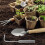 Crack Weeder Herramienta Para Malezas Inoxidable Mango 4