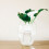 1 Set 40Pcs Soilless For Aquatic Water Plants 7