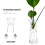 1 Set 40Pcs Soilless For Aquatic Water Plants 10