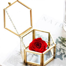 Jewelry box in glass and gold metal, Golden geometric jewelry box, metal glass jewelry box, for placing Bracelets, Necklace, Earrings, Rings