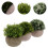 3 Pièces Vertes Artificielles Fleurs Décoratives Accessoires 6