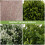 3 Pièces Vertes Artificielles Fleurs Décoratives Accessoires 8
