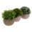 3 Pièces Vertes Artificielles Fleurs Décoratives Accessoires 7