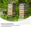 Bee Feeder Con Design Multibuco Per Alimentazione 10
