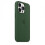 (Clover) Silicone Case With Magsafe For Iphone 13 Pro Phone Case - POP 2