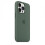 (Eucalyptus) Silicone Case With Magsafe For Iphone 13 Pro Phone Case - POP 2