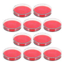 10pcs Agar Plates Blood Agar Dishes for Biological Laboratory Equipment School Science Projects - KM