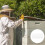 Bee Feeder Multihoyo Para Alimentación Exterior 6