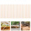 100Pcs Natural Bee Tubes Replacement Inserts For Bee Houses 6