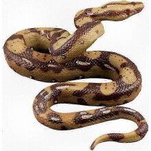 High-quality Realistic Rubber Snake Toy - Python Model for Garden Decor And Halloween Props -CN-123