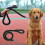 Durable Nylon Big Dog Leash -New SZJR 2