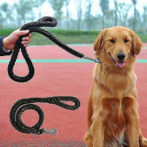 Durable Nylon Big Dog Leash -New SZJR 1
