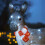 NEO Neo 34 cm Donkey Acrylic Christmas Light 4