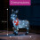 NEO Neo 34 cm Donkey Acrylic Christmas Light 7