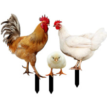 15 Pcs Acrylic Yard Chicken Signs Chicken Shaped Stakes