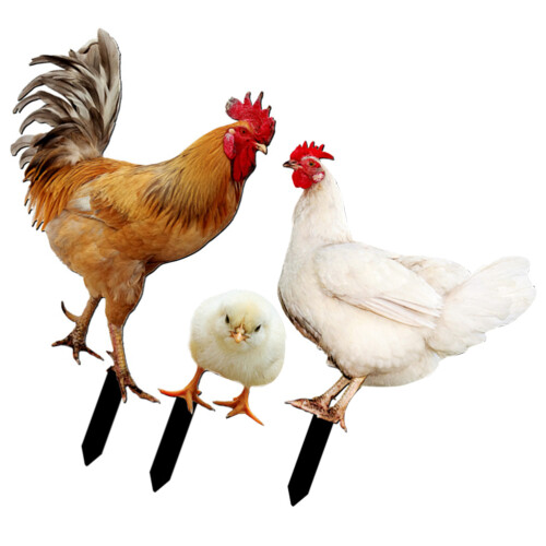 15 Pcs Acrylic Yard Chicken Signs Chicken Shaped Stakes 2