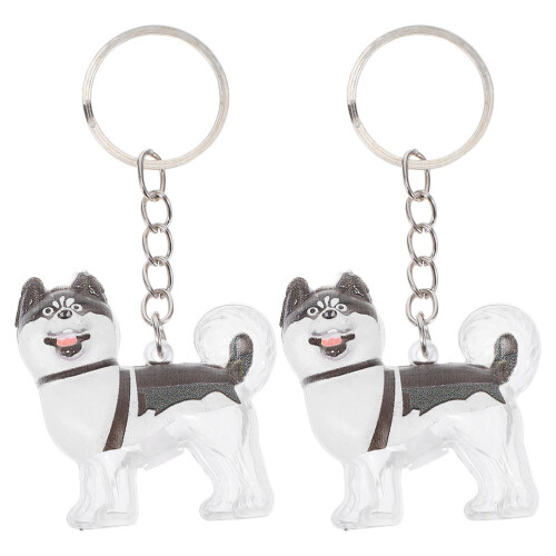6Pcs Sturdy ABS Pet Hair Keepsake Keychain Compact Storage