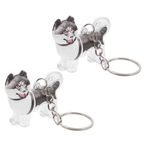 6Pcs Sturdy ABS Pet Hair Keepsake Keychain Compact Storage 1