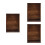 3Pcs Insect Display Case Butterfly Specimen Shadow Box Frame 5