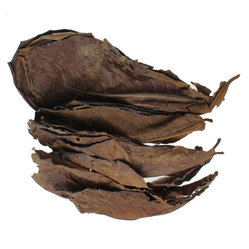 10 Pcs Natural For Water Ph Regulation And Quality