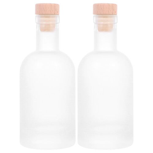 2pcs Bottles Empty Bottles Fruit Bottles Diy Ice Bottles Drink Bottles