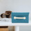 Clothing Storage Boxes With Lids Sky-Blue Fabric 1pack 7