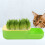 Cat Grass Hydroponic Planter Indoor Growing Box For Cats 11