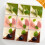 50 Pcs Square Mousse Cups For Yogurt And Desserts 3