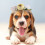 Pet Blumenkranz Gebinde Blumengirlande Kopfschmuck 5